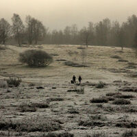 Die Trupbacher Heide in Winterstimmung