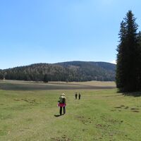 Rohrbachgraben -- Bodenwiese auf der Gahns