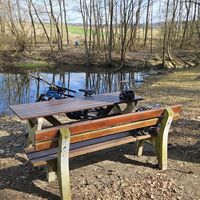 Teich Stamersbach