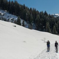 Wildschönau Auffach Schneeschuwanderung