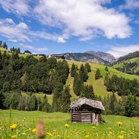 Blick auf Raut