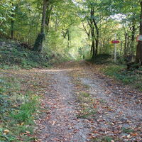 am Rückweg
