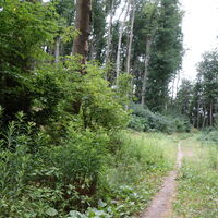 am Weg nach Hadersfeld zum Gipfel und Obelisk