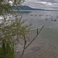 Seeidylle