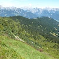 Blick vom Kamm hinunter zum Alpenrosenweg