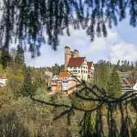 Die Burg in Berneck mit ihrer markanten Schildmauer