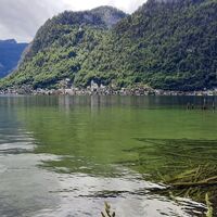 Blick auf Hallstatt zurück