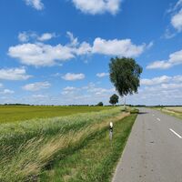 Zwischen Hösseringen und Räber