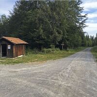 Waldweg mit Hütte