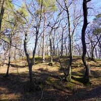 ein ersten Blick zur Ruine Lauenburg (Vorburg)