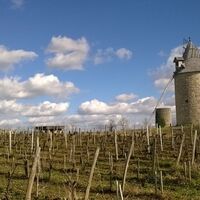 moulins calon (2)
