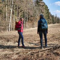 Die Wiese am Häuselberg ist erreicht