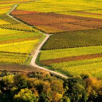 Goldener Herbst im Leininger Land