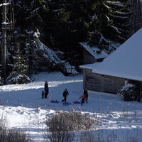 Todtmoos Rodelwanderung mit Hochkopfblick 1