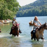 Abkühlung im Rhein bei Obergailingen; auch für Menschen ausdrücklich erlaubt!