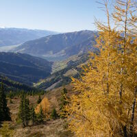 Blick auf Zell am See