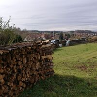 Von Wolfersdorf zur Herzoglichen Grabstätte und zur Herzog-Ernst-Eiche
