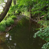 Im Teichgebiet der Wolche bei Krölpa