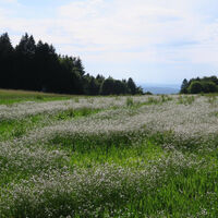 Unterwegs in offener Feldflur.