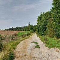 Feldweg zum Bauergraben