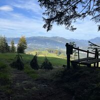 .. mit Stacheldraht-Überstieg (super gekennzeichnet für allfällige MTB-Downhila!)