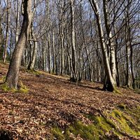 Schalksmühler Rundweg