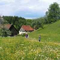 Guggenmühle