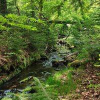 Steinbach - Triftkanal unterhalb der Klause