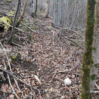 Rinnende Mauer Trail - Molln (lang)