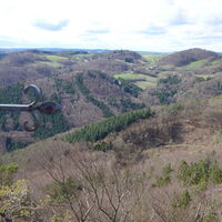 Buschandlwand