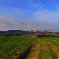 Kirchschlag i. d. Buckl. Welt - Tauchen
