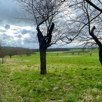 Flur Wolfmannshausen
