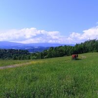 Braunes_Gold_Montanhistorischer_Wanderweg_Bärnbach