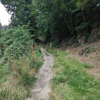 Abstieg von der Altenburg // Achtung: Fahrstraße !