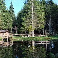 Schwoaghofer Teich_Almenland_Foto M. Graf_klein.jpg