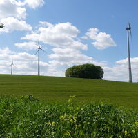 Erdfall "Spielmanns Kuhle" 