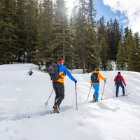 Skitour auf das Chrüz im Prättigau