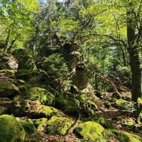 Urige Landschaft im felsigen Gelände unterhalb des Jägerkreuzes