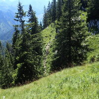 Abstieg zum Mairalmsteig