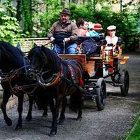 Kutschfahrt durch den Tierpark Gotha