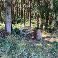 Bank im Wald