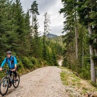 Forstweg nach dem  Buchauer Sattel