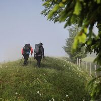 Opponitz Wandern