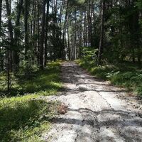 Wanderung zur Hohen Bank