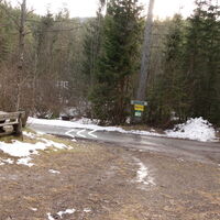 am Wiener Mariazeller Pilgerweg Abstieg