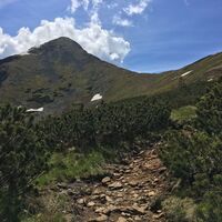 Aufstieg zur Hornfeldspitze