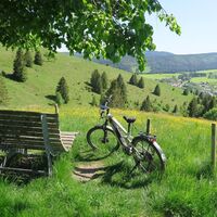 Himmelsliege am Bernauer Panormaweg