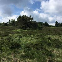 Landschaft am Wanderweg W6