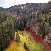 Das idyllische Kälbertal von oben