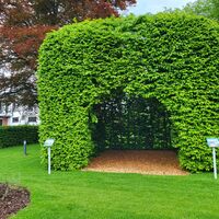 Garten der Generationen Medebach